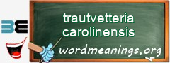 WordMeaning blackboard for trautvetteria carolinensis